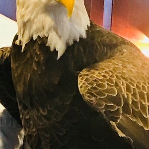 Meet your Posher, Aaron